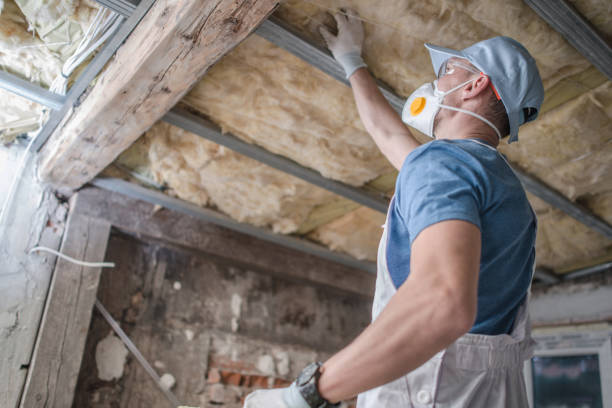 Best Insulation Maintenance and Repair in Wilson, OK