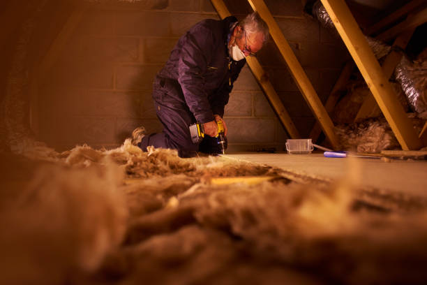 Best Residential Insulation in Wilson, OK
