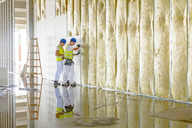 Best Cellulose Insulation in Wilson, OK